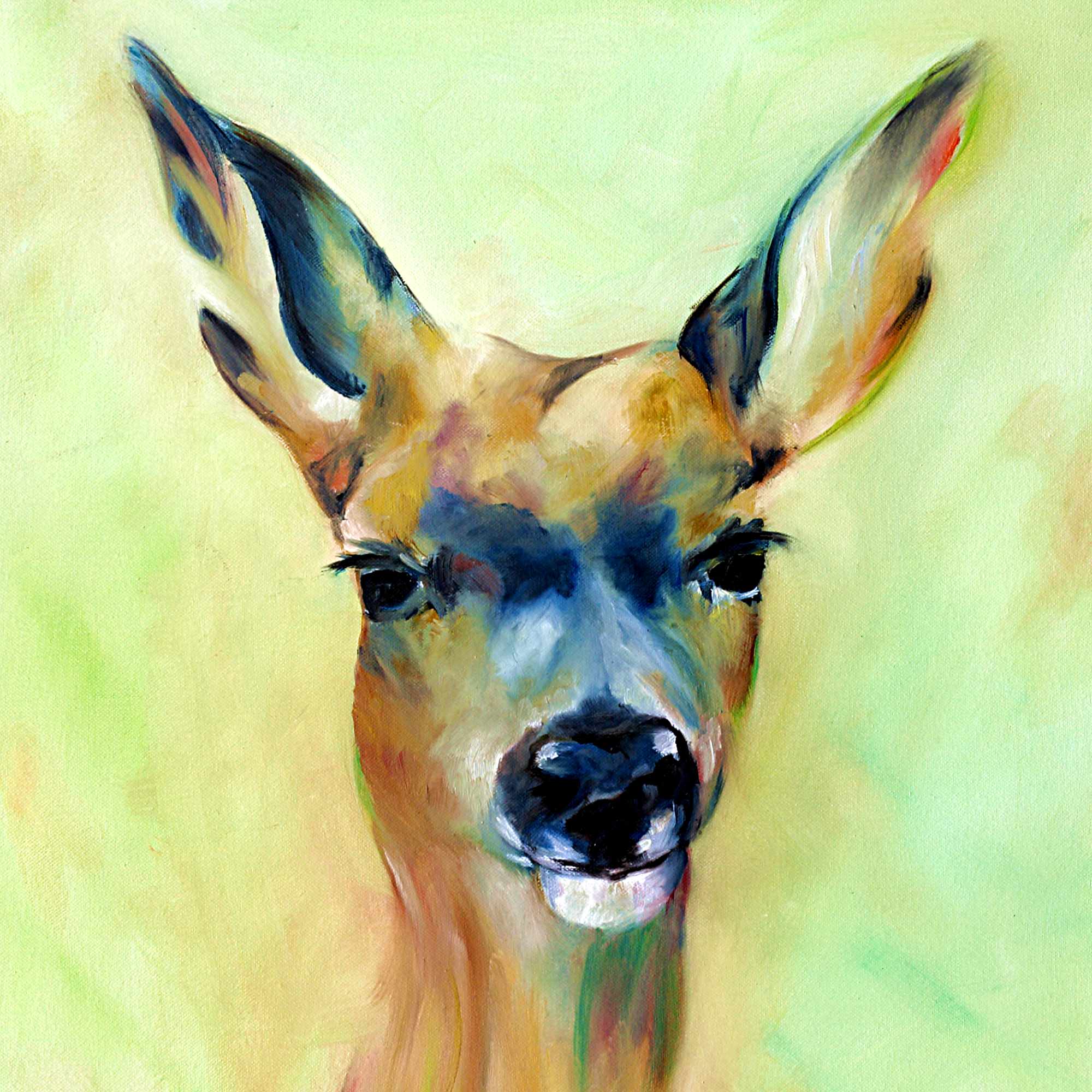 Sweet Bambi, Portrait eines Rehes